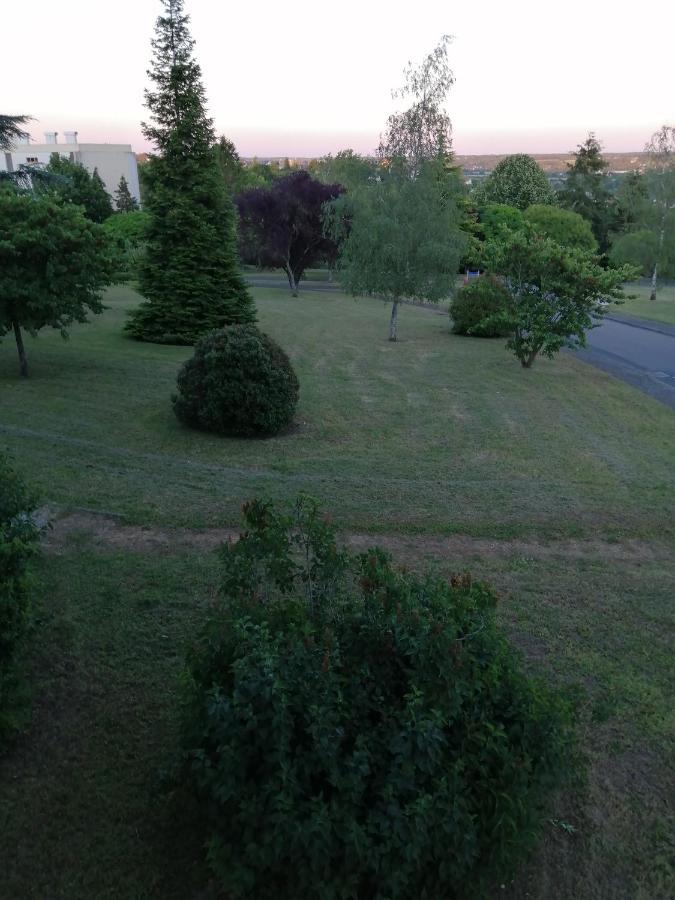 Appartement pres de beauval et des châteaux Montrichard Exterior foto